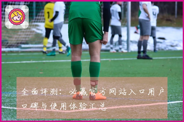 全面评测：必赢官方网站入口用户口碑与使用体验汇总