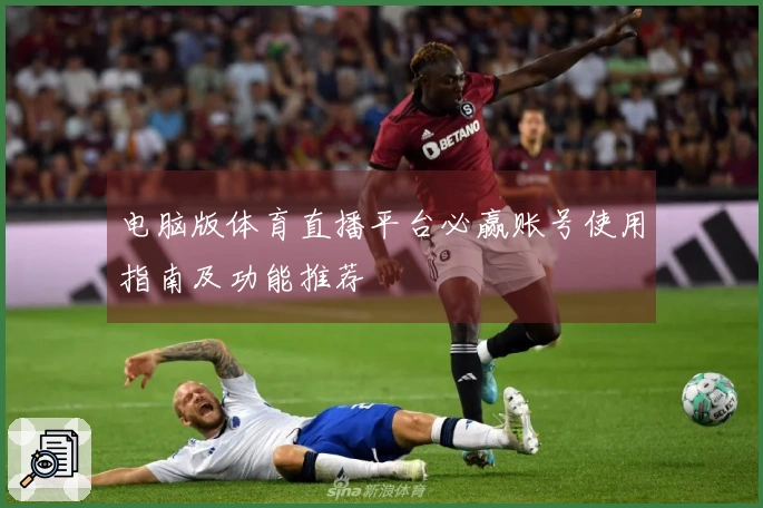 电脑版体育直播平台必赢账号使用指南及功能推荐