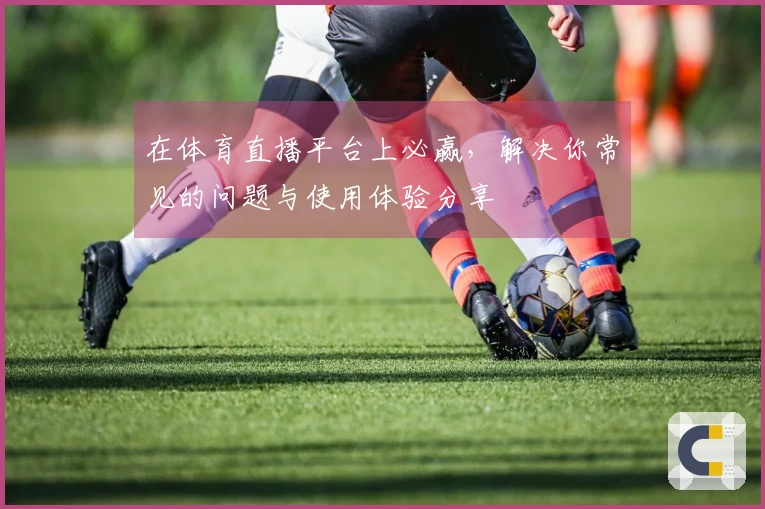 在体育直播平台上必赢，解决你常见的问题与使用体验分享